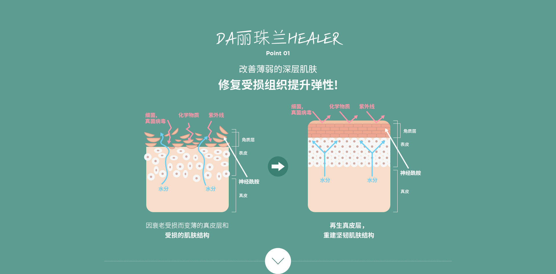 DA丽珠兰healer Point01.改善薄弱的深层肌肤修复受损组织提升弹性!