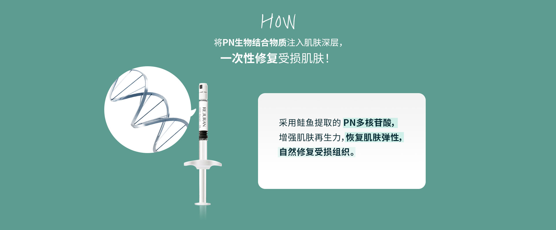 将PN生物结合物质注入肌肤深层，一次性修复受损肌肤！