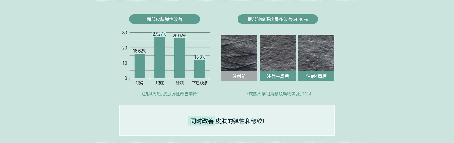 增加皮肤真皮层的密度和厚度焕活肌肤屏障! 同时改善皮肤的弹性和皱纹!