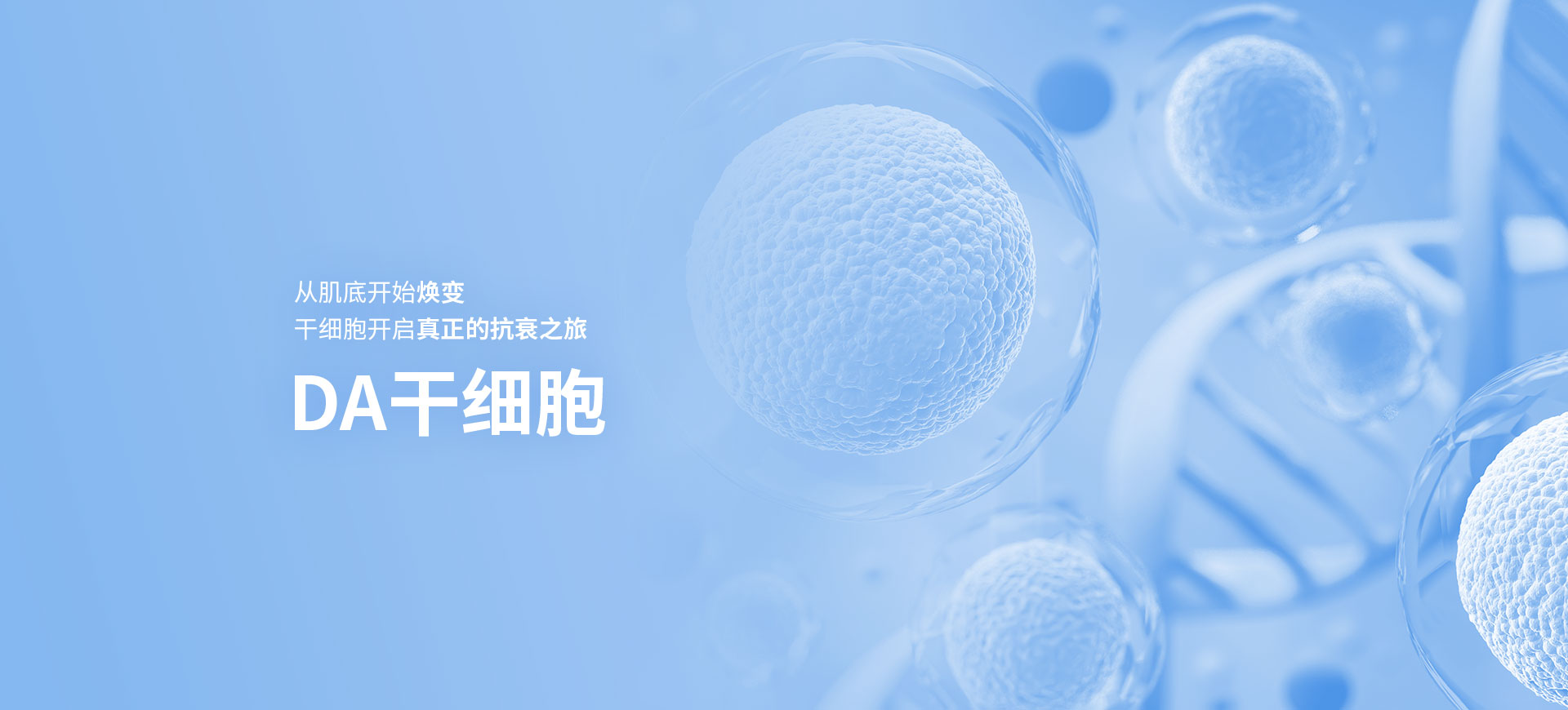 DA干细胞