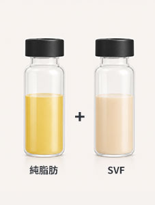 混合純脂肪+SVF