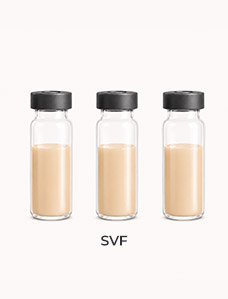 準備提純的SVF