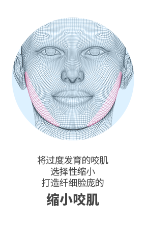 轮廓三件套