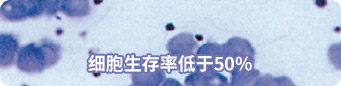 细胞生存率低于50%