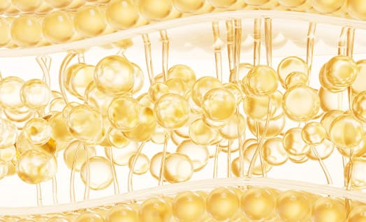 지방이식 이미지