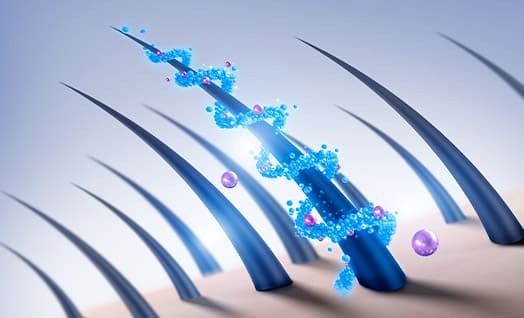 탈모개선 이미지