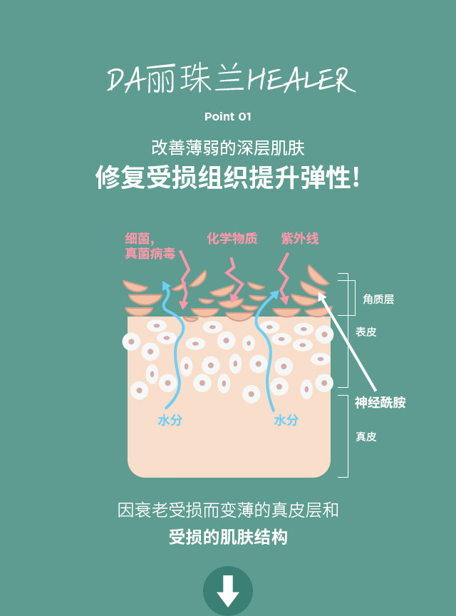 DA丽珠兰healer point01.改善薄弱的深层肌肤修复受损组织提升弹性!