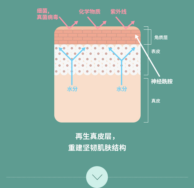 将PN生物结合物质注入肌肤深层